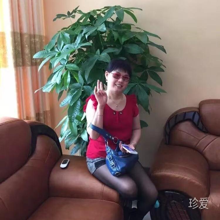 袁来是你