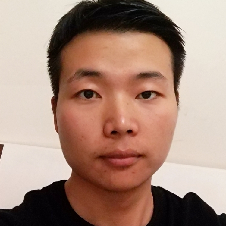 來自遠(yuǎn)方的向日葵