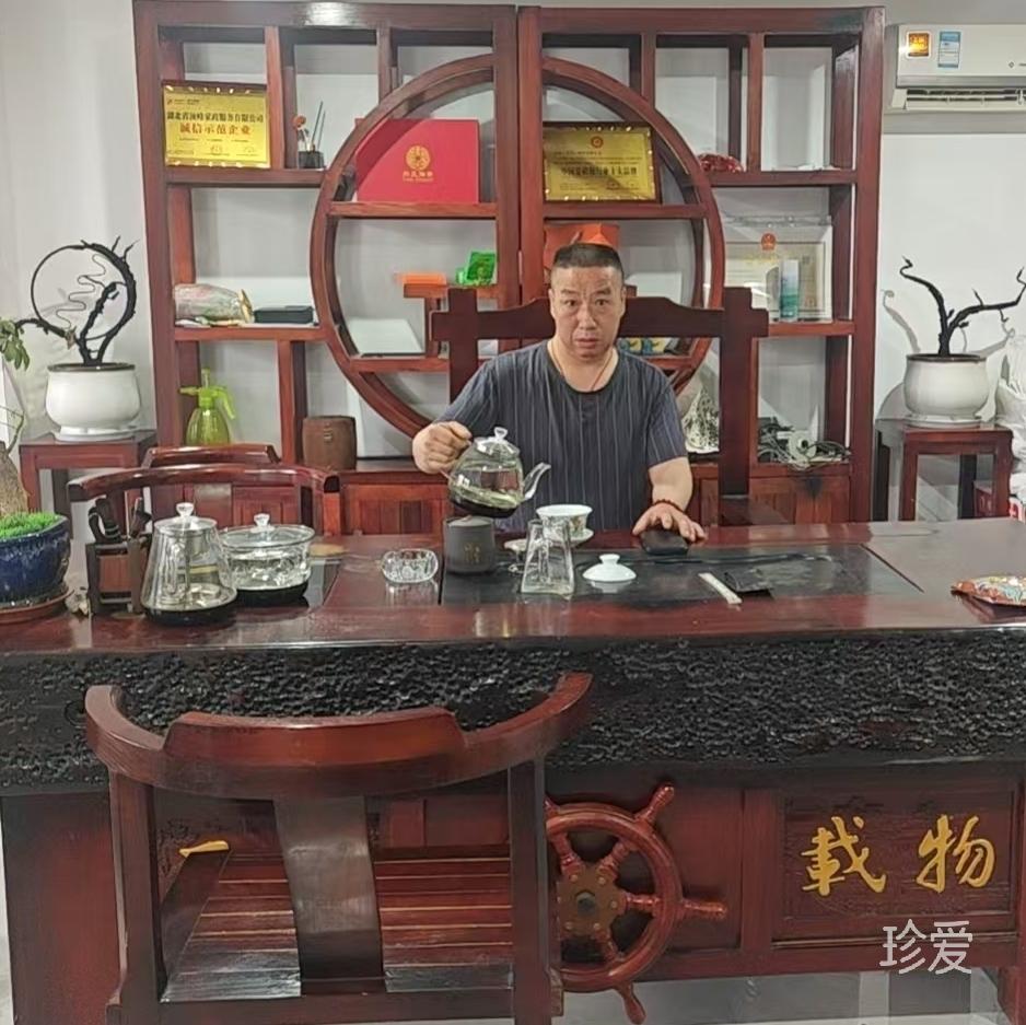 巡游天马