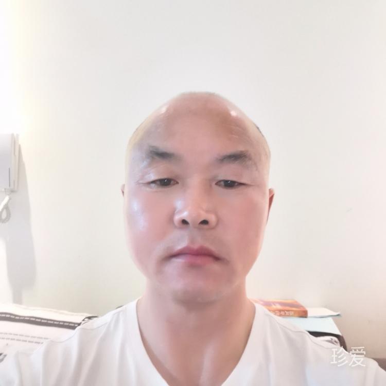 昨夜又東風(fēng)