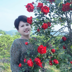 如意