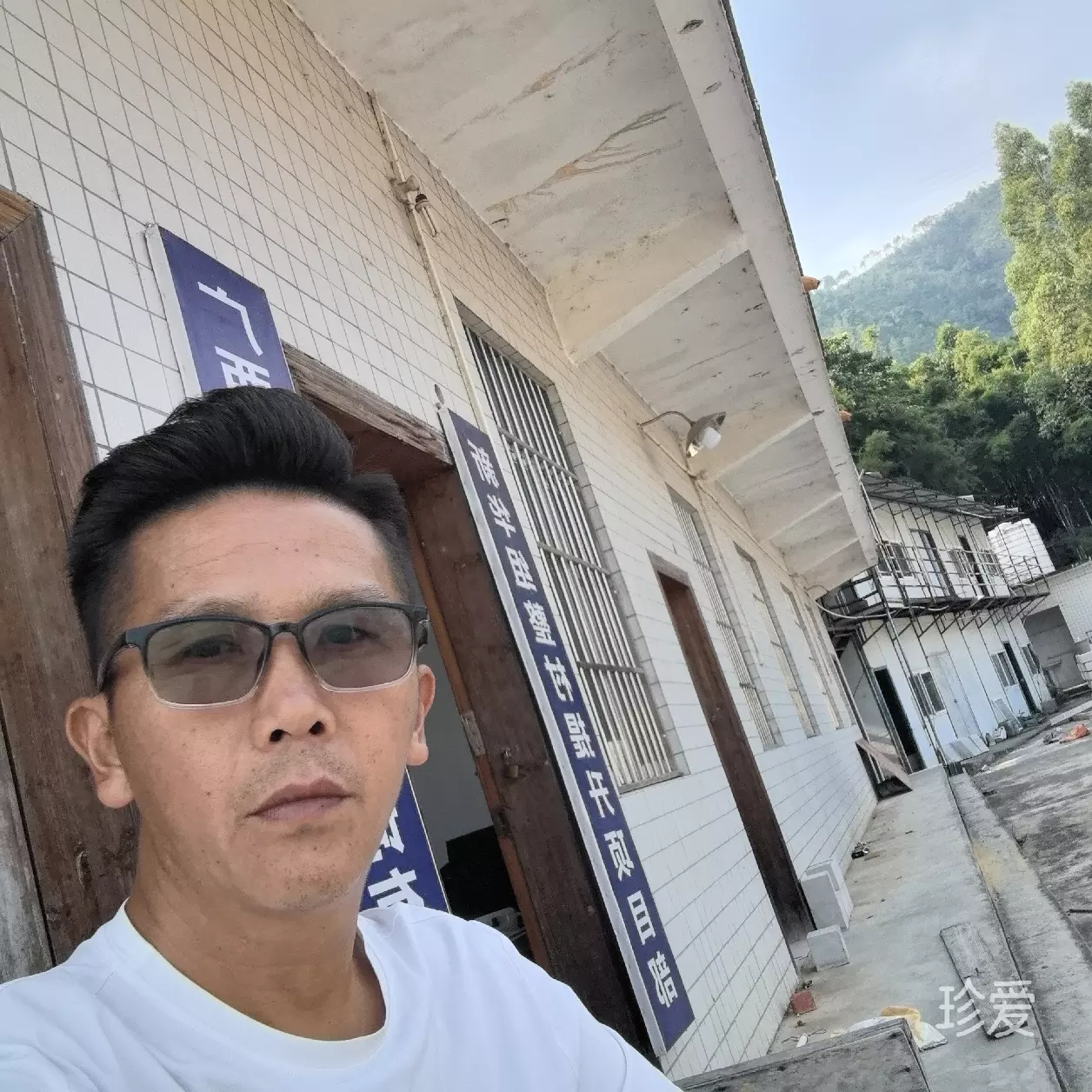 古月冷锋