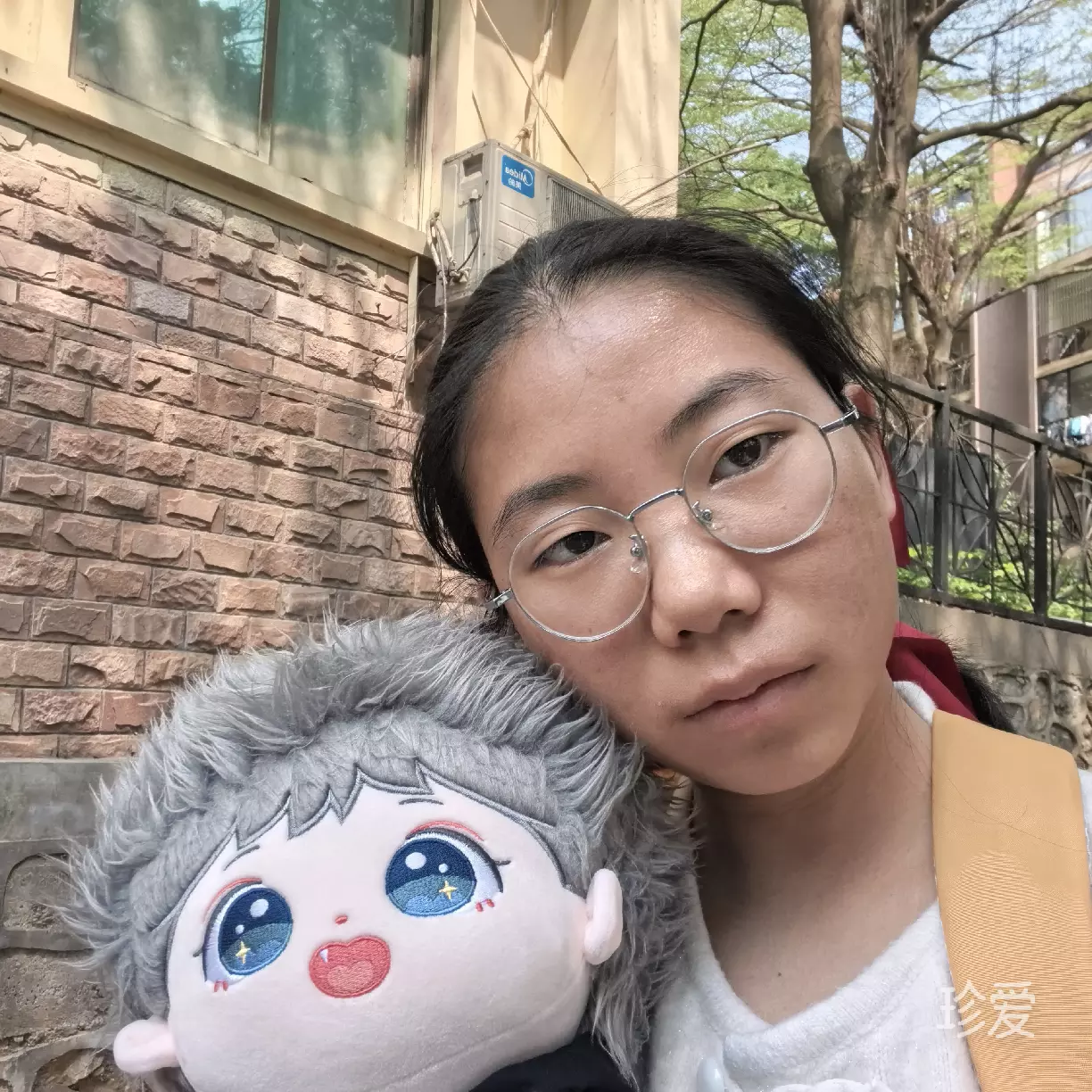 卷心淡淡