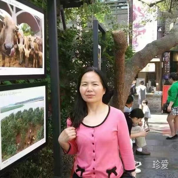 陽光下的藍(lán)天