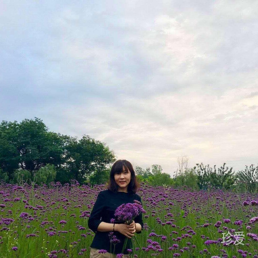 清荷