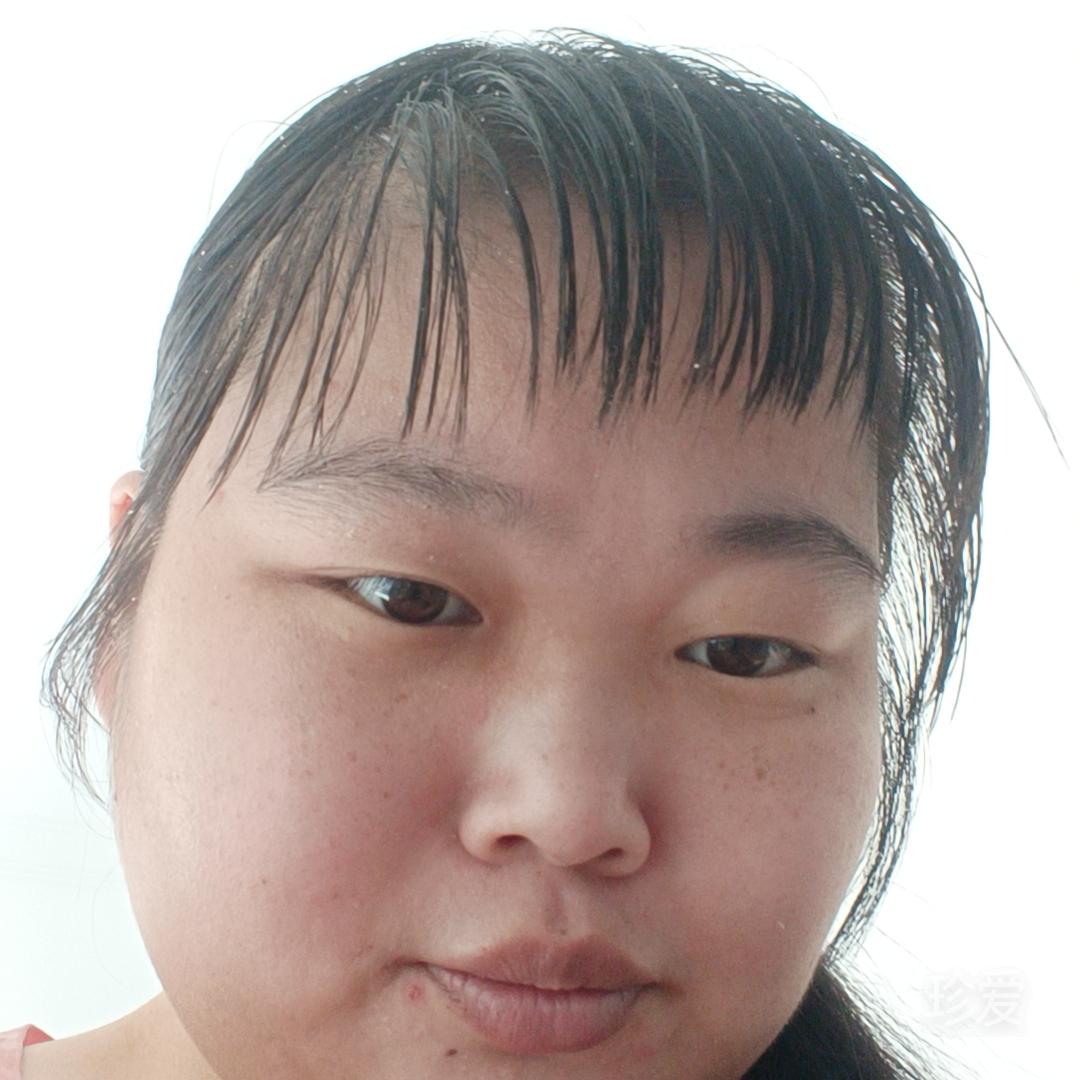 钢琴上跳舞的猫