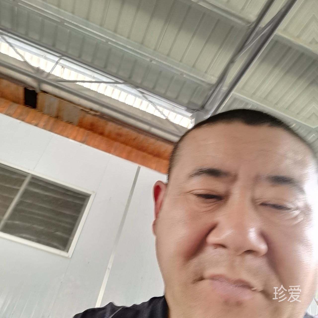 雨后花