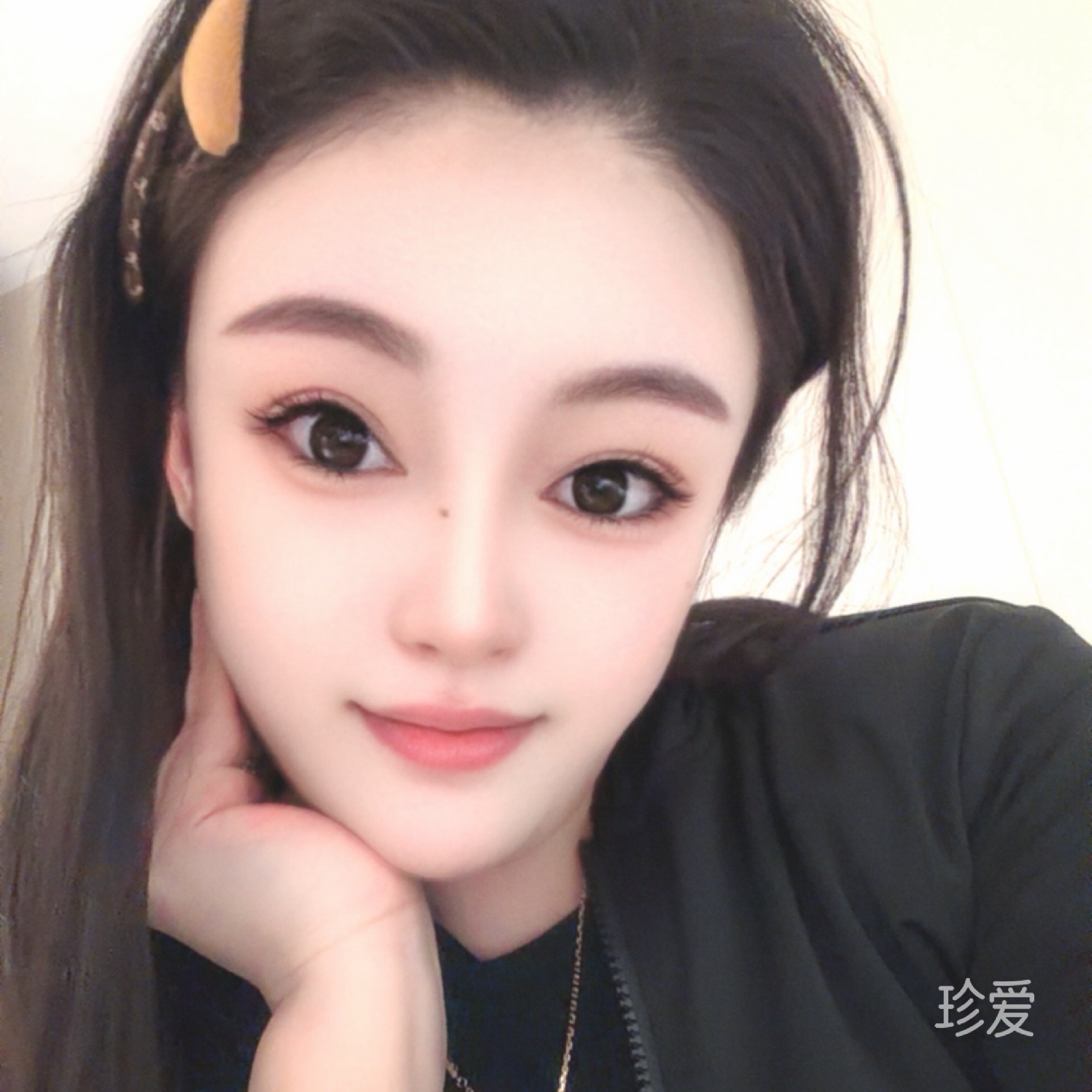天山雪莲