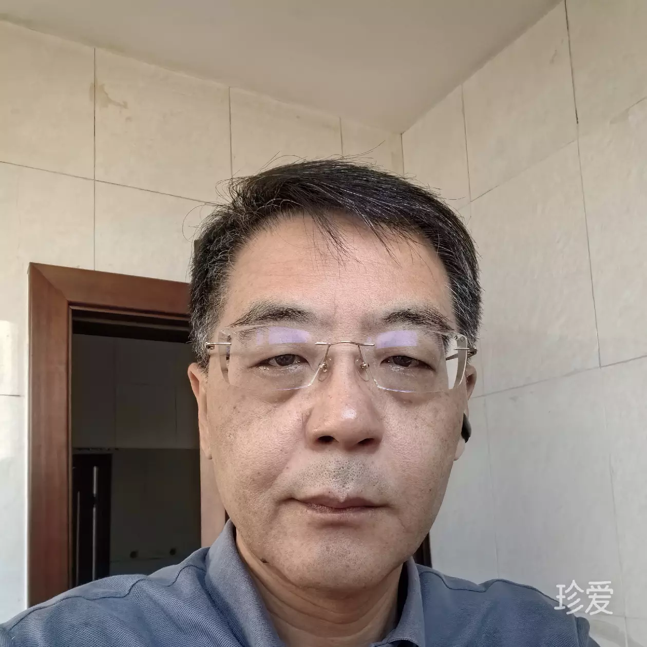 岸边青杨