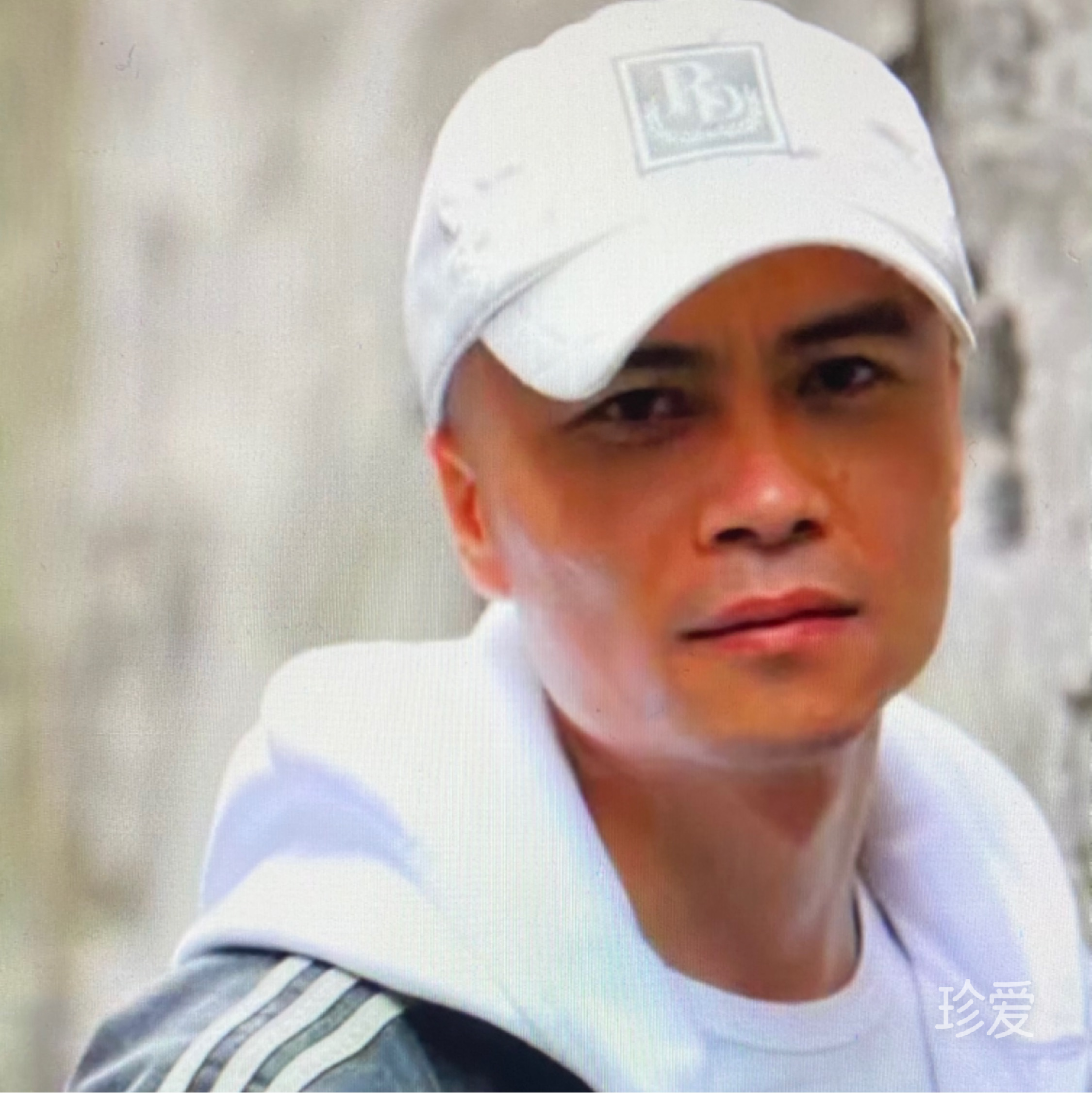 滿山猴子你腚最紅