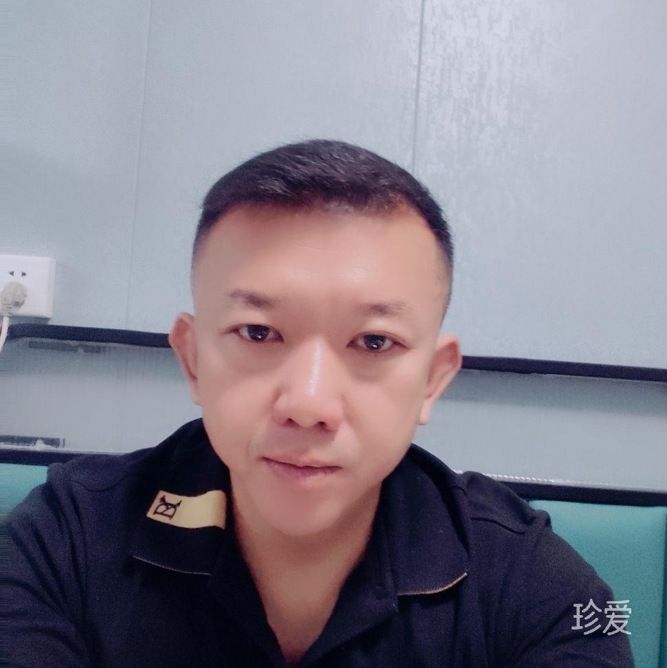 听风的鸟