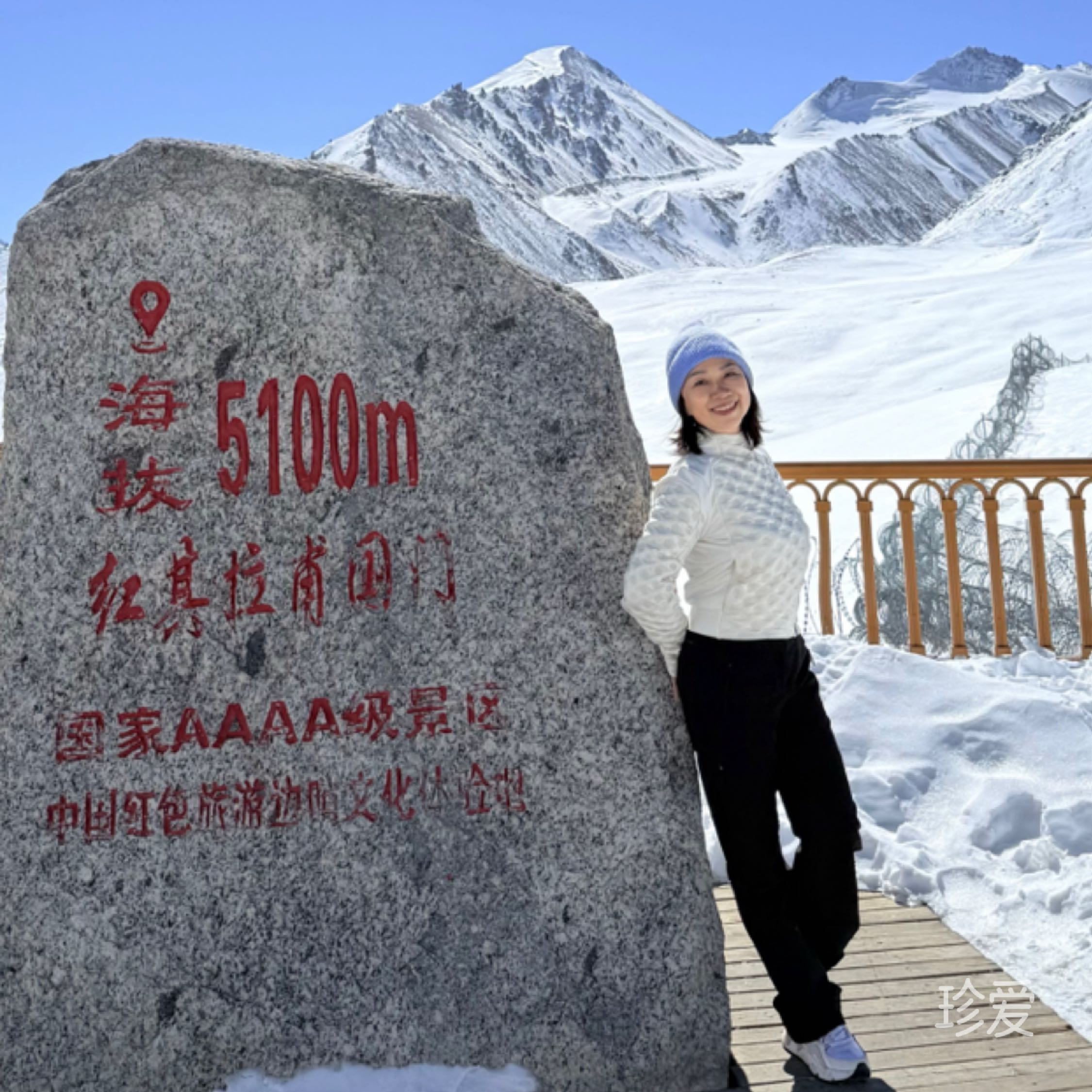 自由的鸟儿