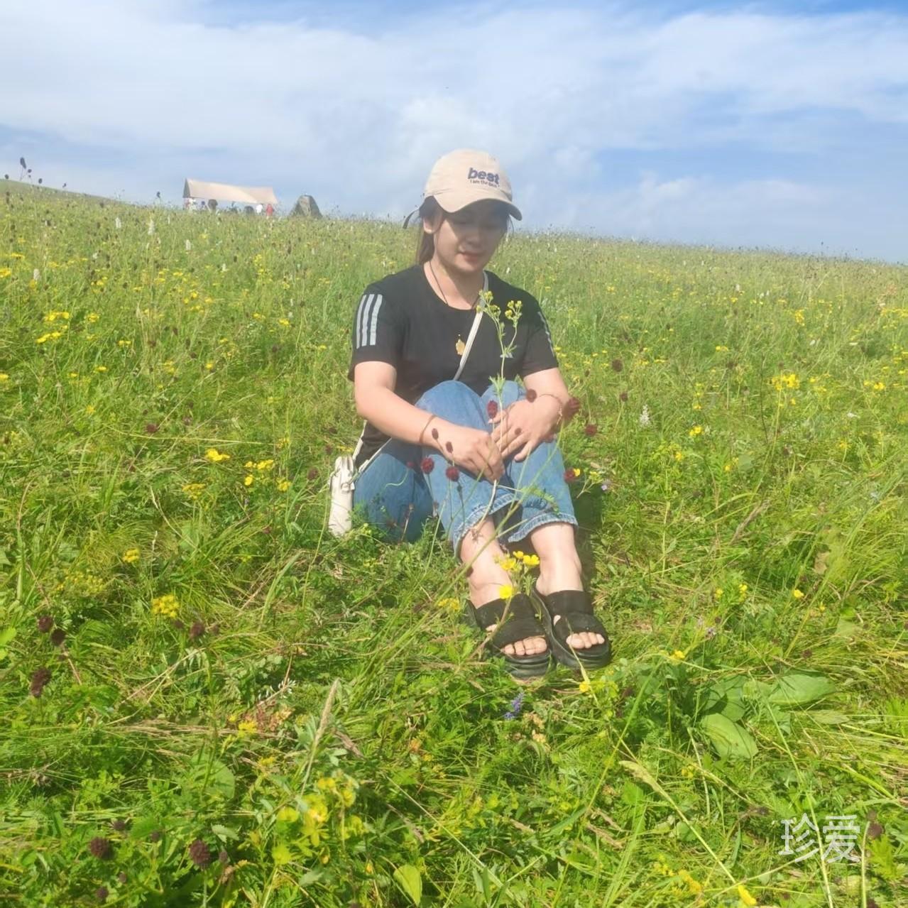 风轻轻吹过