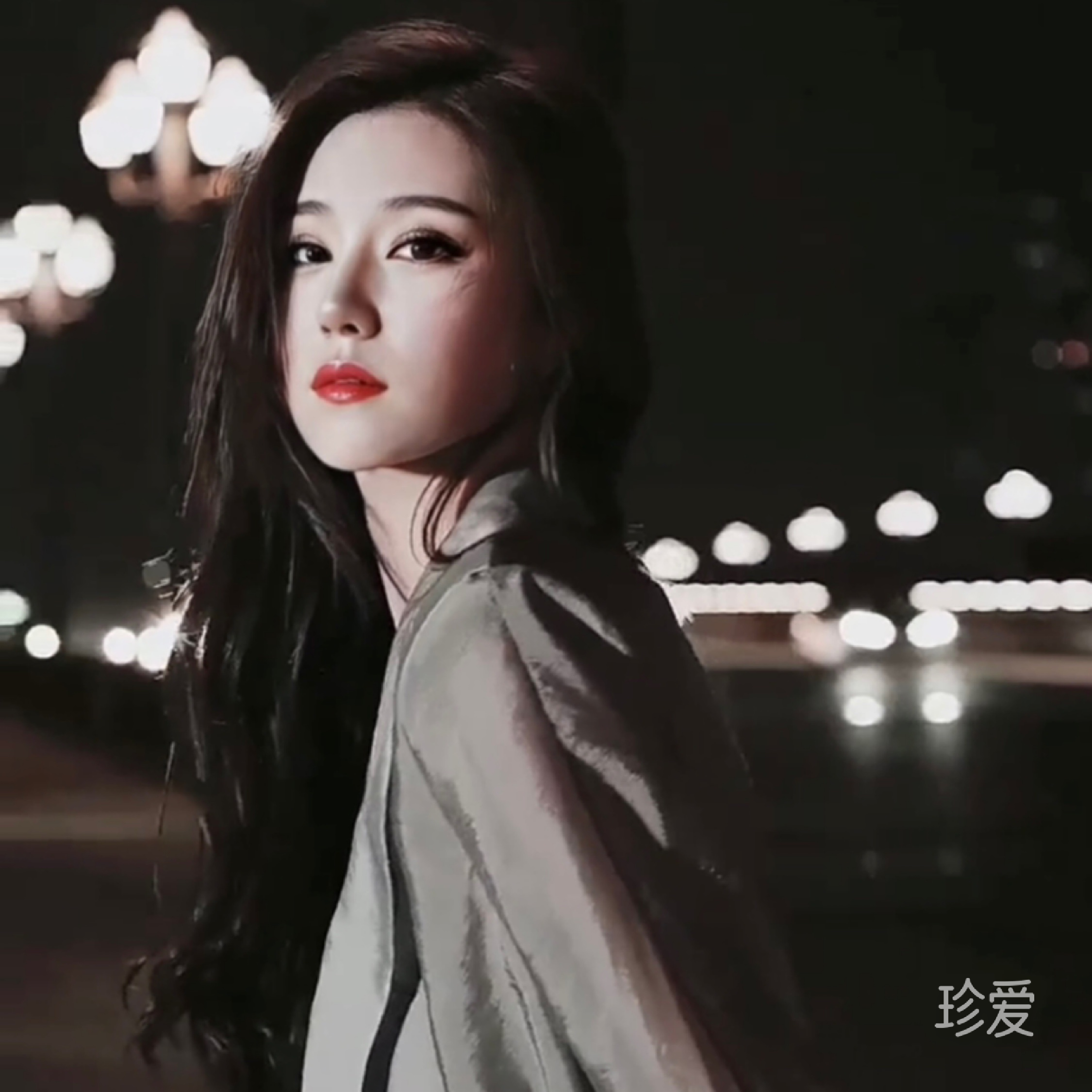 樱花下的猫