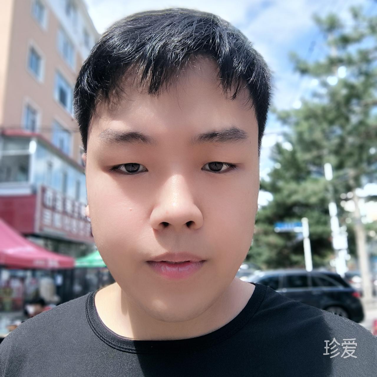 风不会停