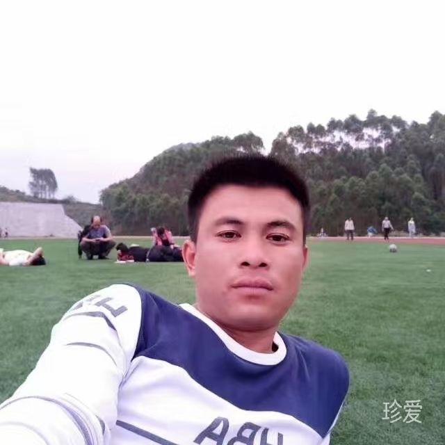 坐观天下