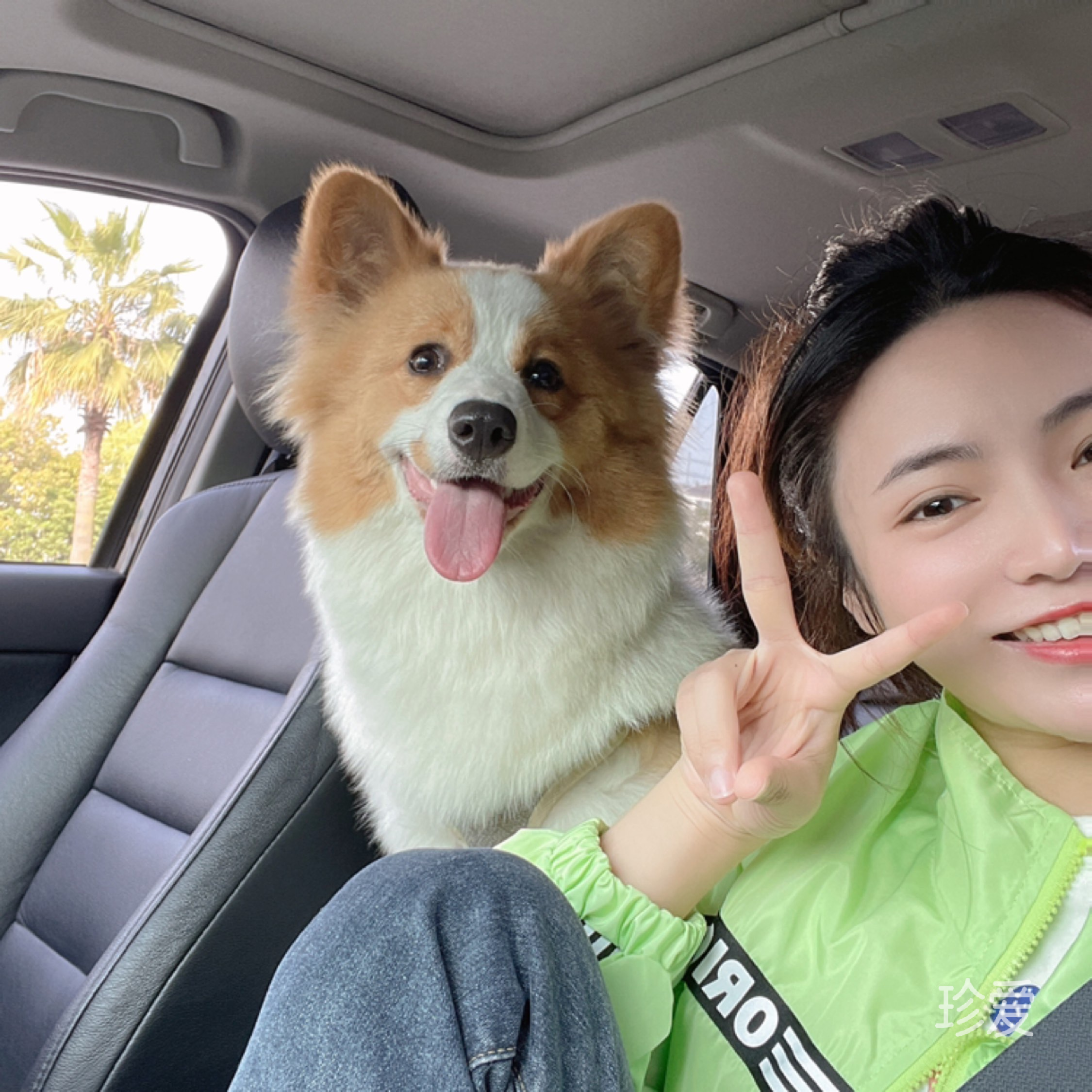 小太陽是烏托邦的