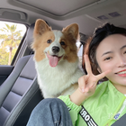 小太陽是烏托邦的