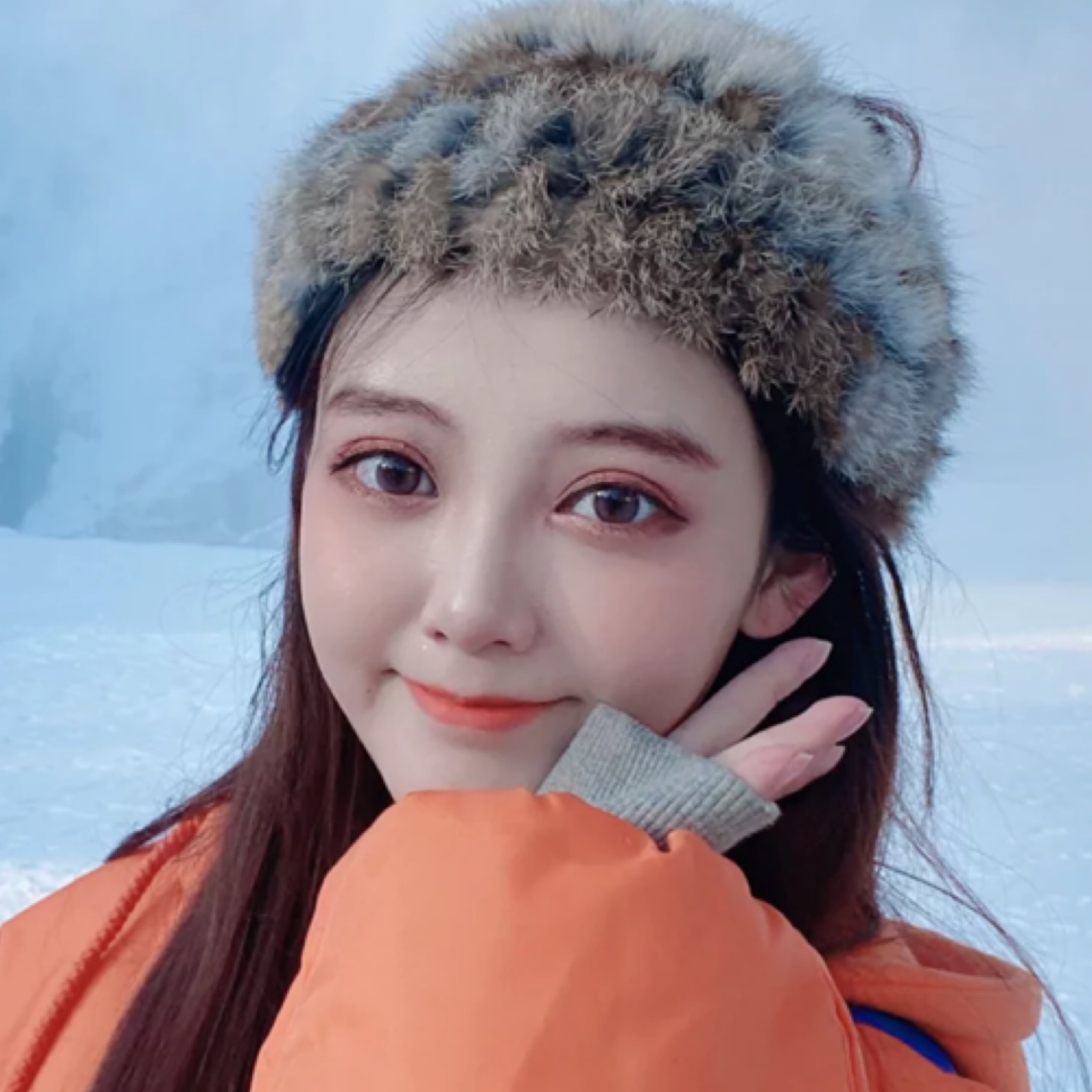 山有木兮木有枝