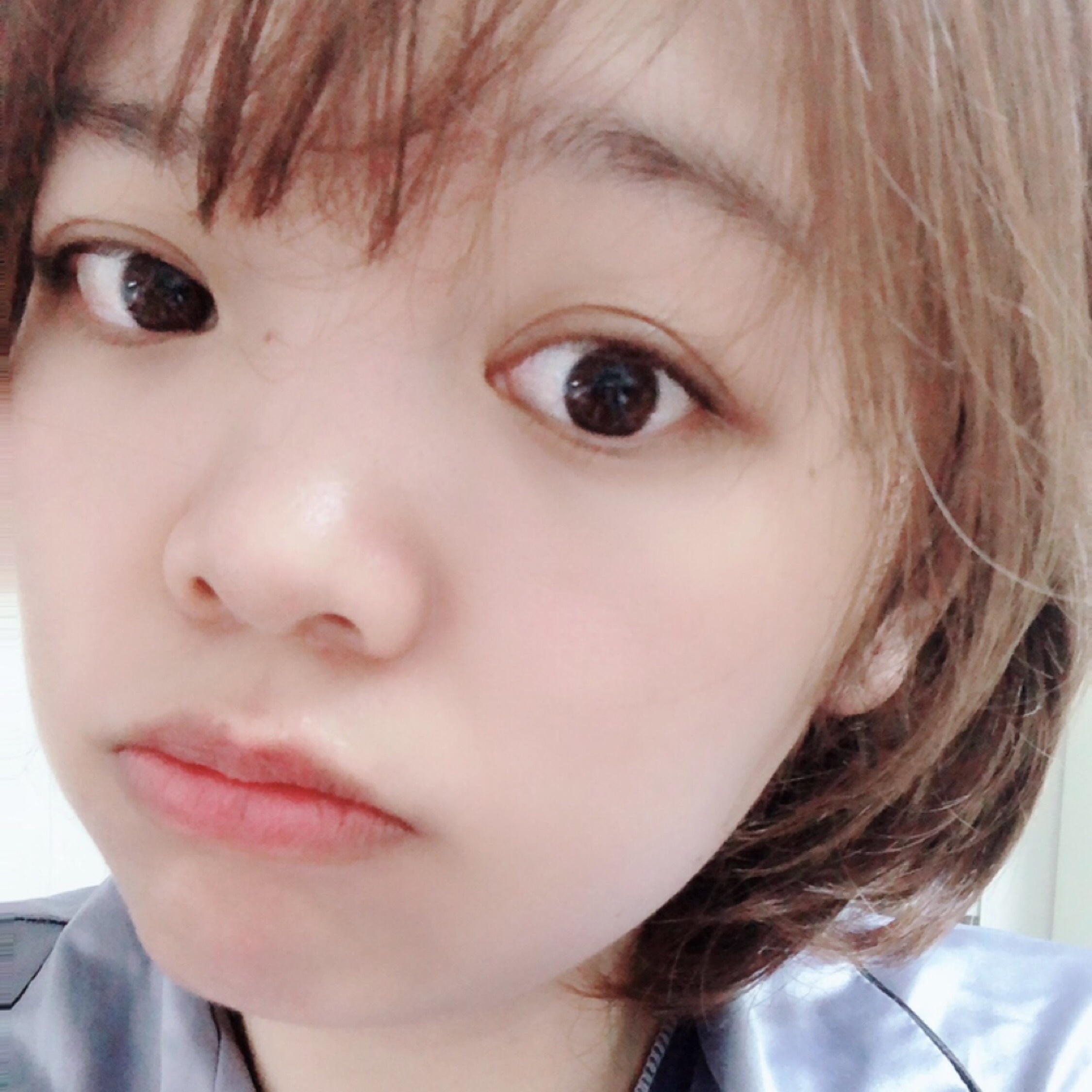 今天也是小可爱