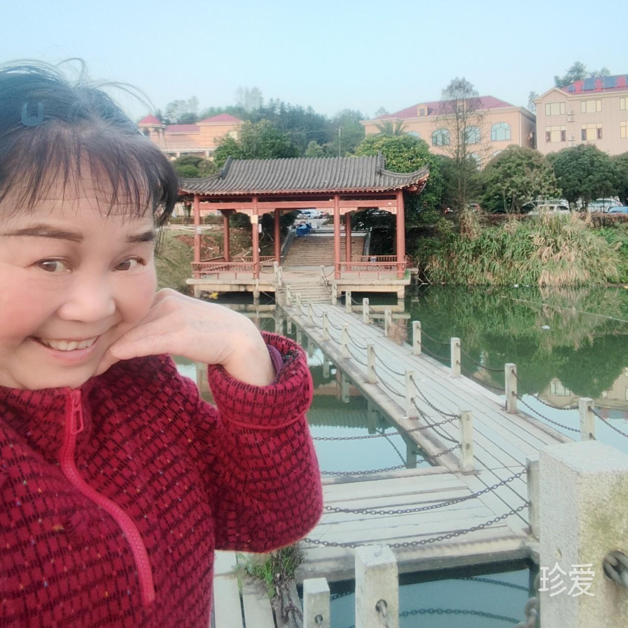 最美的语言