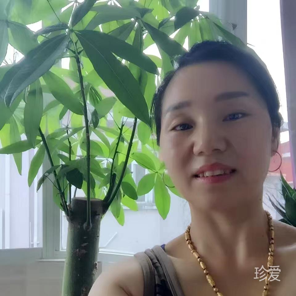 心不再遥远