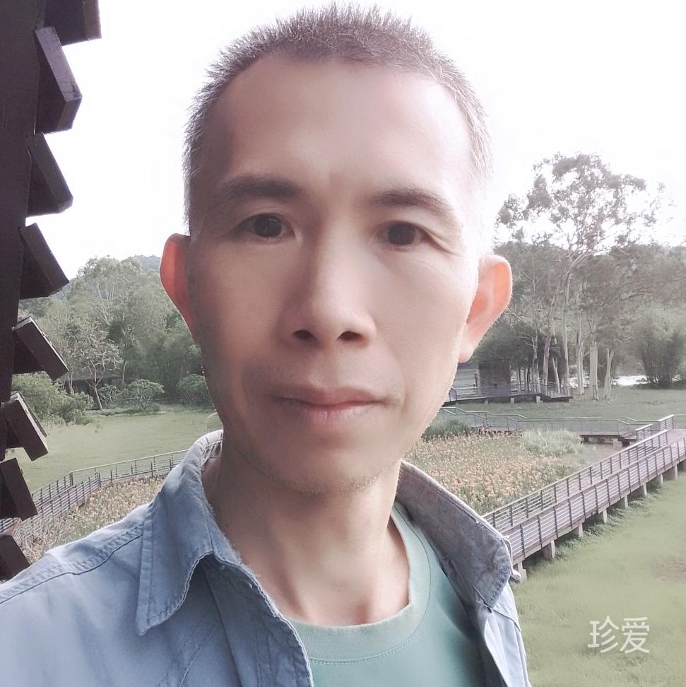 阳光海豚