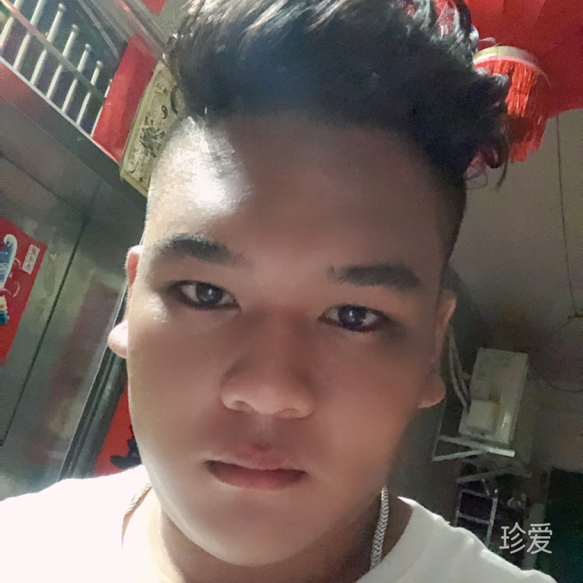 天空的鱼
