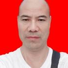 自由飛翔