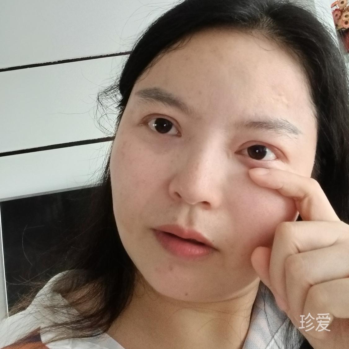 桂花树桂花树