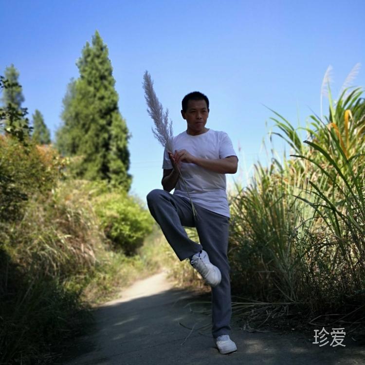 中医高级理疗师