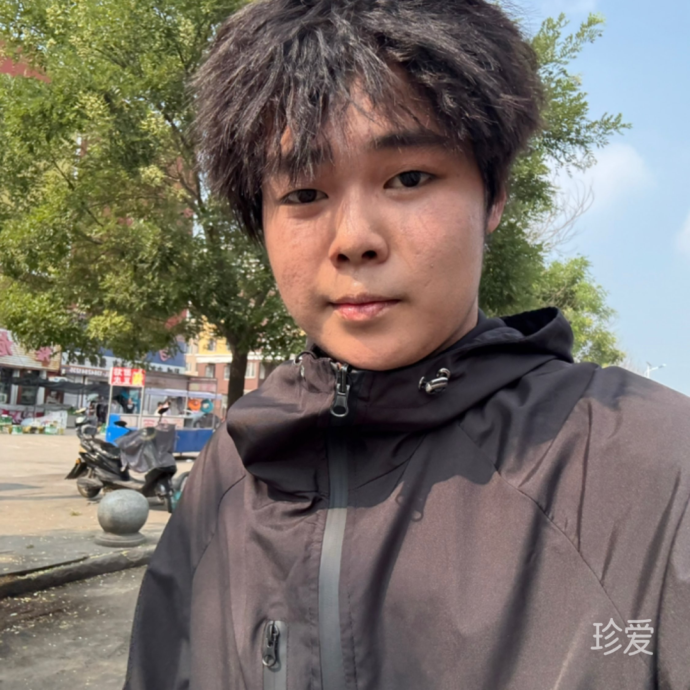 林间风语