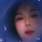 乖豬豬