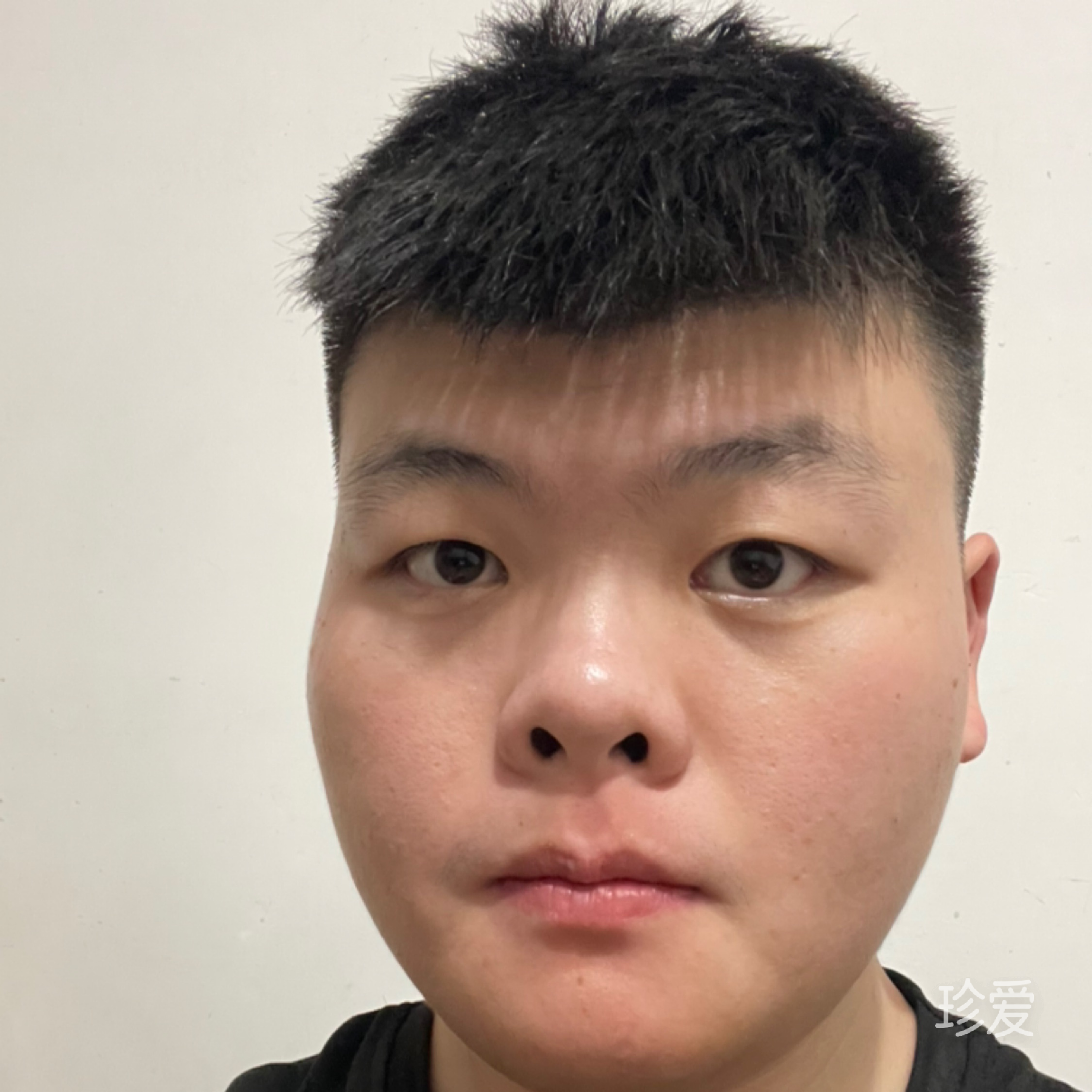 風說那是一場夢