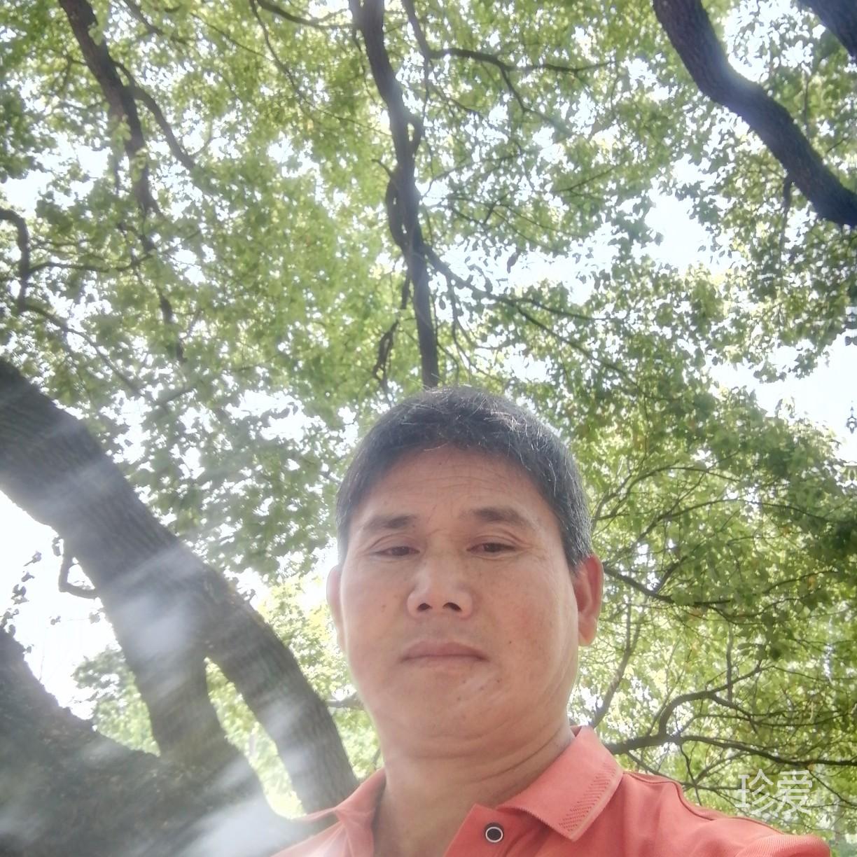 有多少愛可以重來