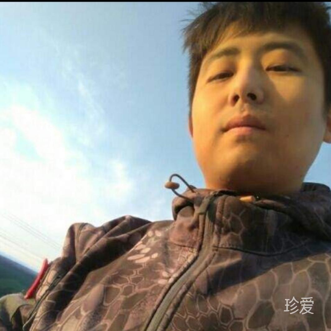 不吃香菜的大鹅