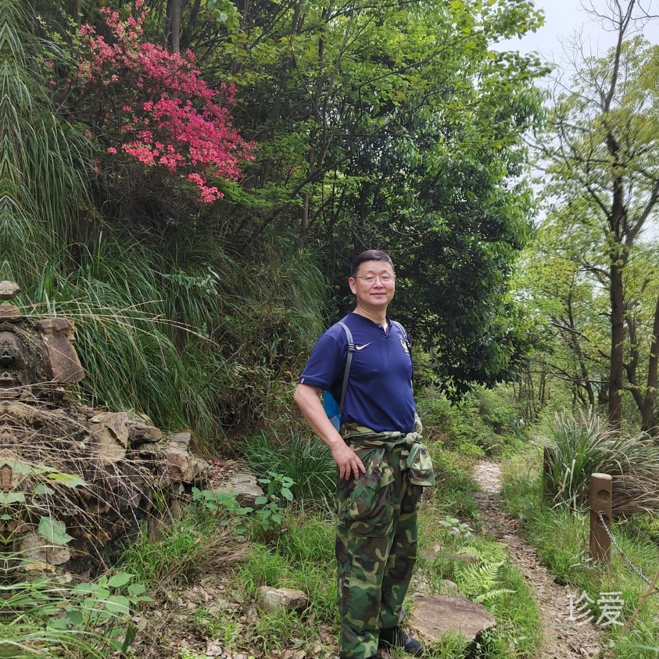王泊山