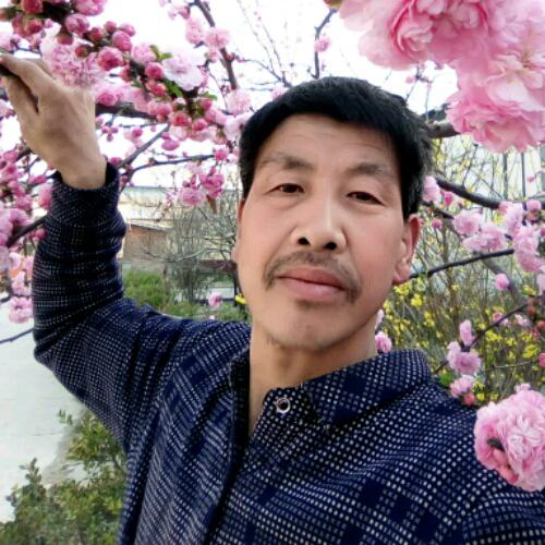 明月幾時(shí)有