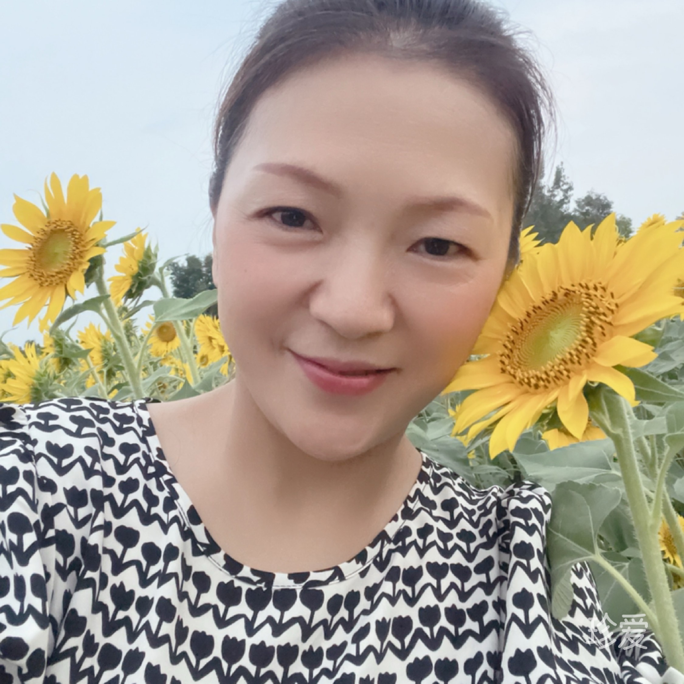 心若无尘