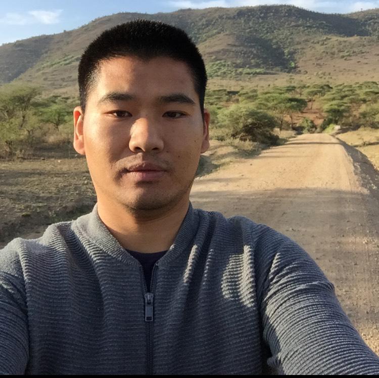 平平淡淡本本真真