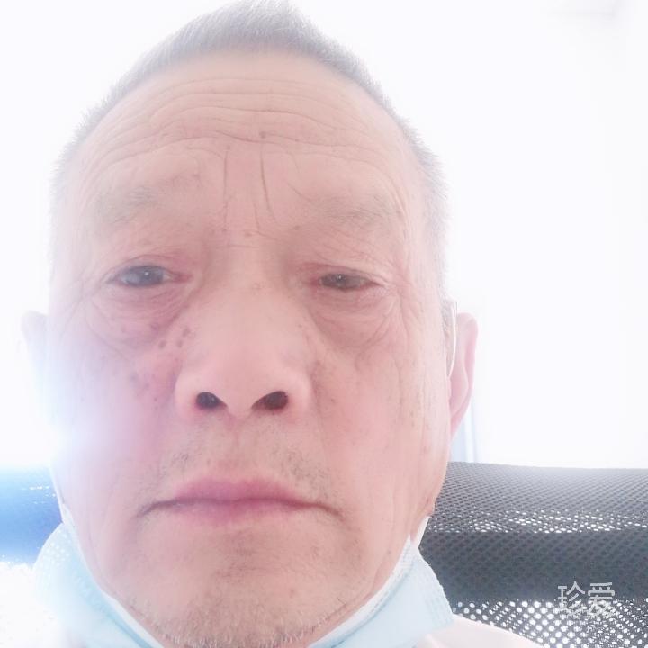 此木