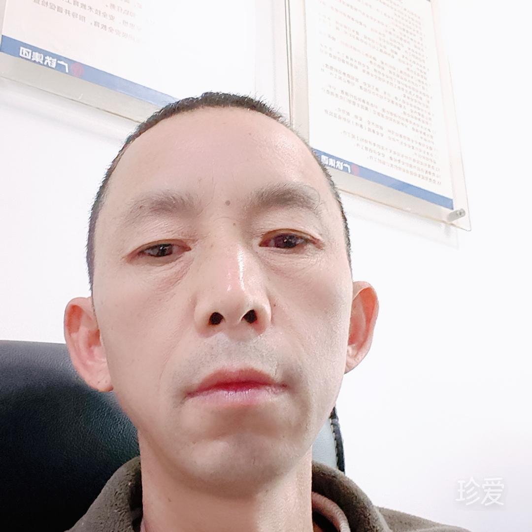 白茶清欢