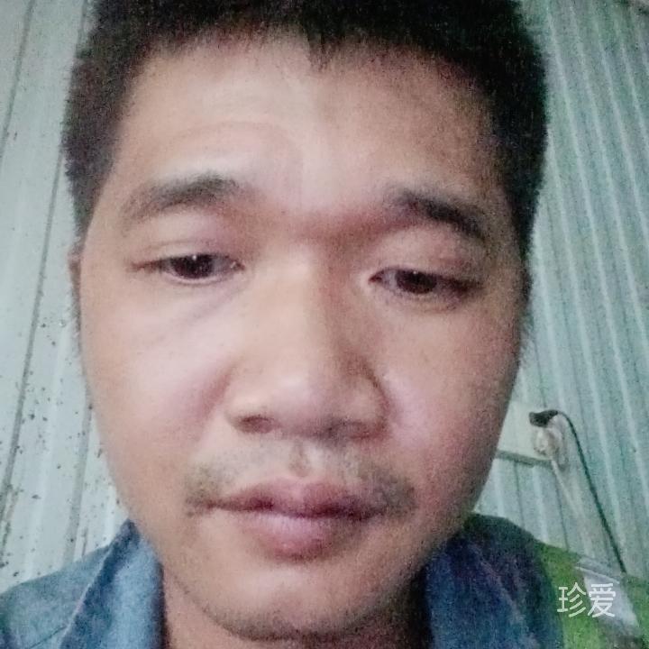 清风伴枼