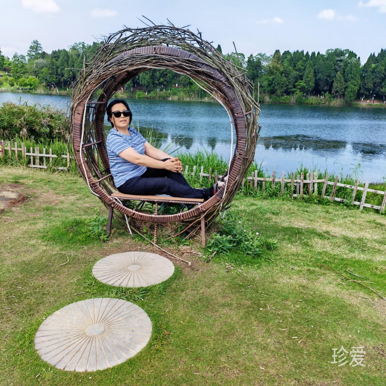 芳香杜鹃