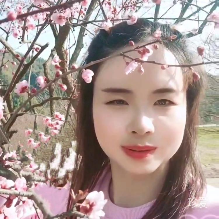 平平淡淡的幸福