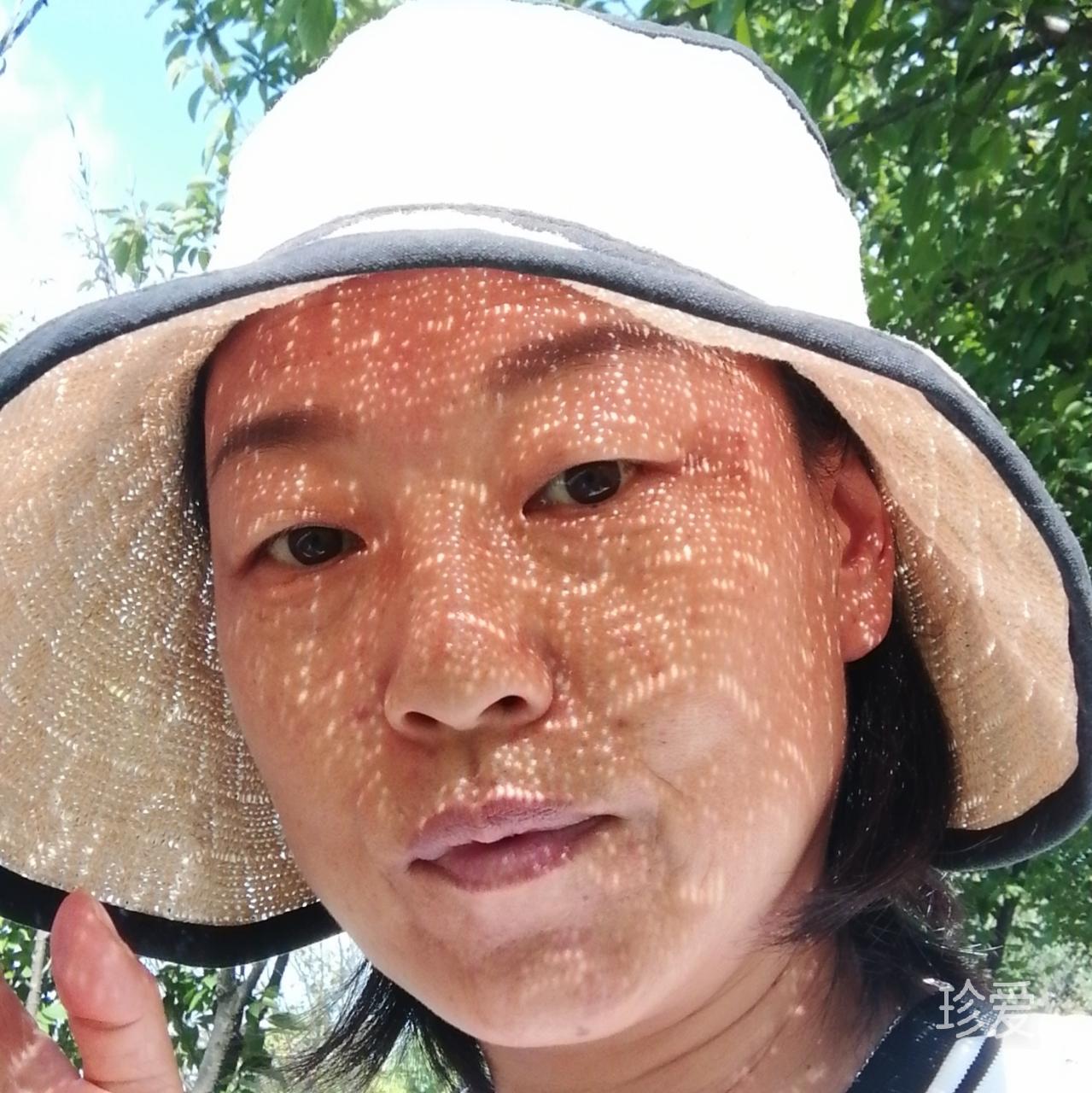 叶随风灵