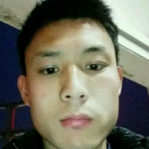 我是騾子不是白馬