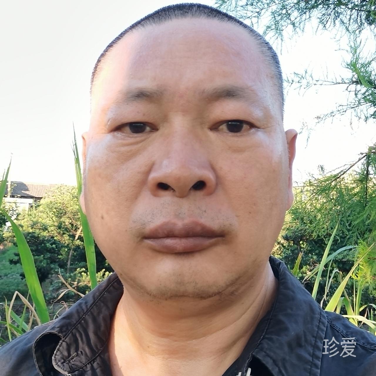 太阳爱地球