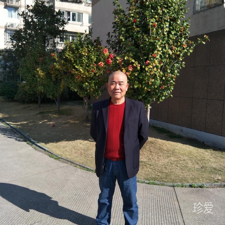梦中人生