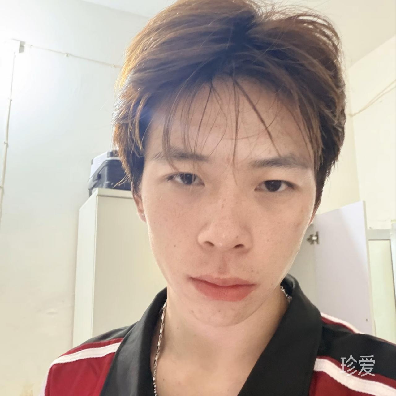 想寻幸福的猪